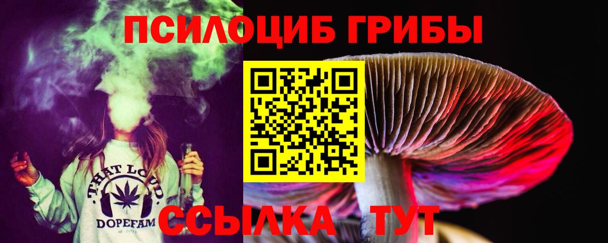 Галлюциногенные грибы Psilocybe Трёхгорный